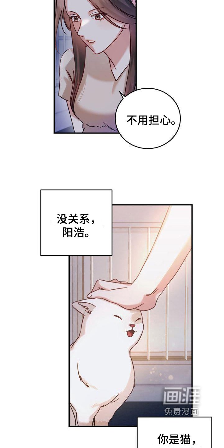 第5章：要求
