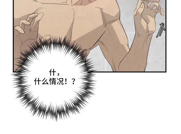 第13章：姻缘占卜：初次相遇