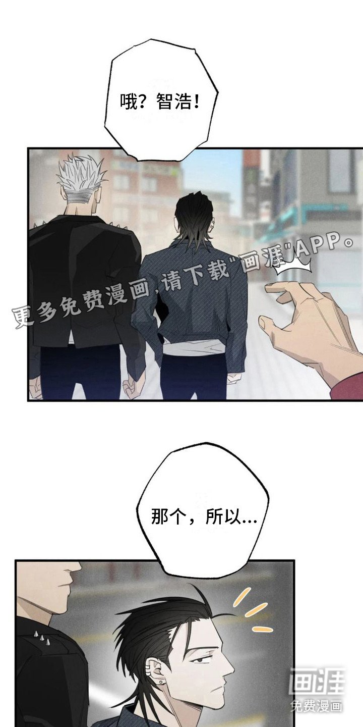 第19章：姻缘占卜：探望