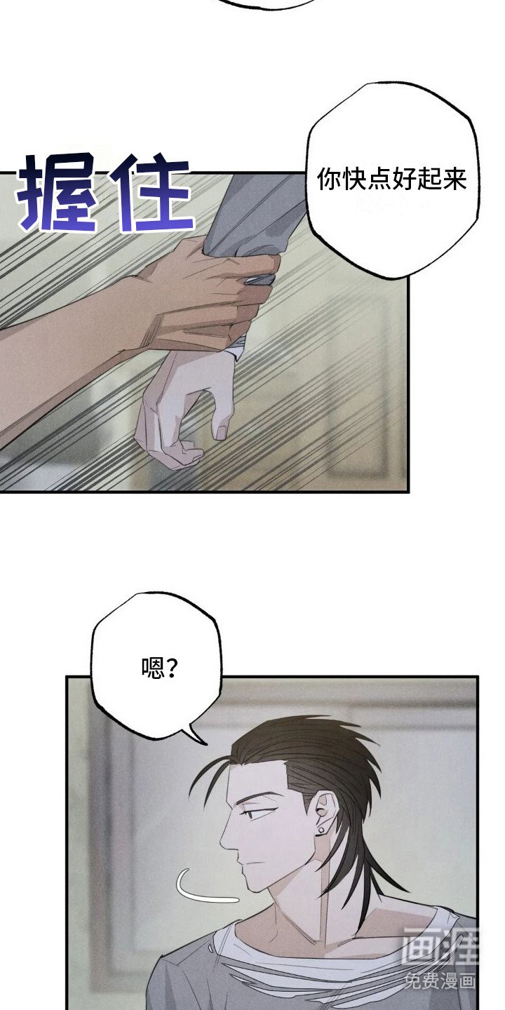 第20章：姻缘占卜：邀请【完】