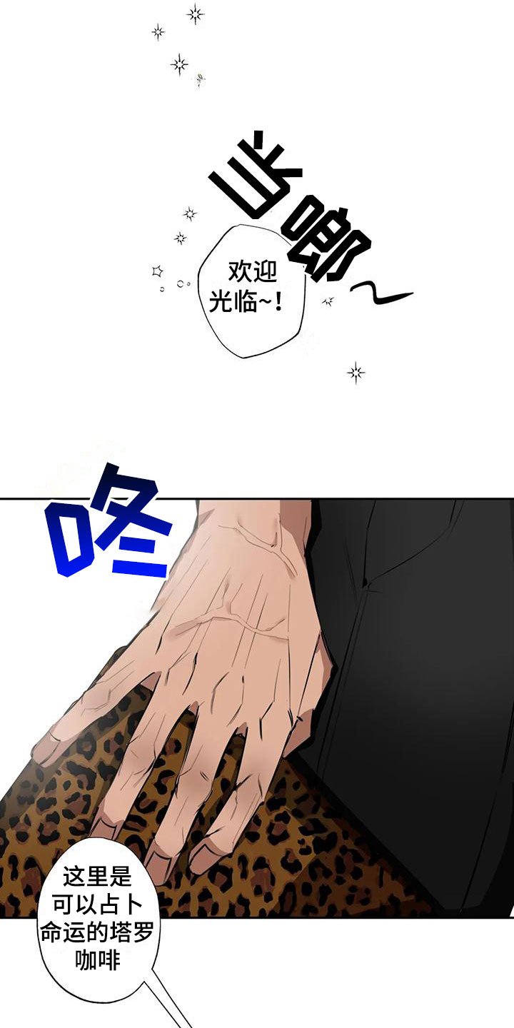 第3章：大哥的爱：占卜