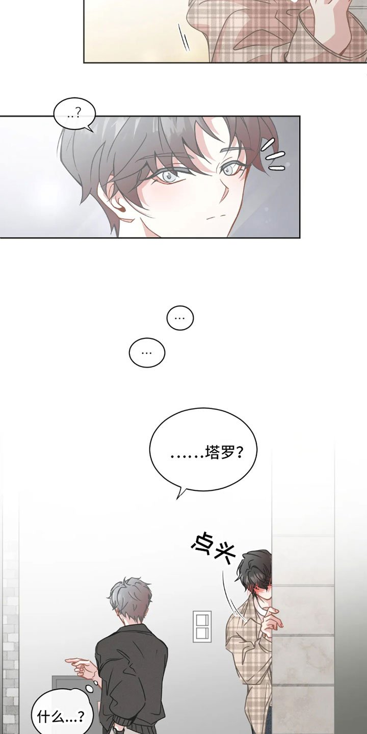 第31章：桃花运：不营业