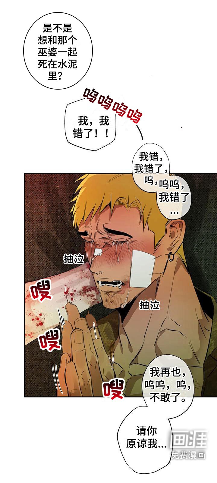 第6章：大哥的爱：原计划【完】