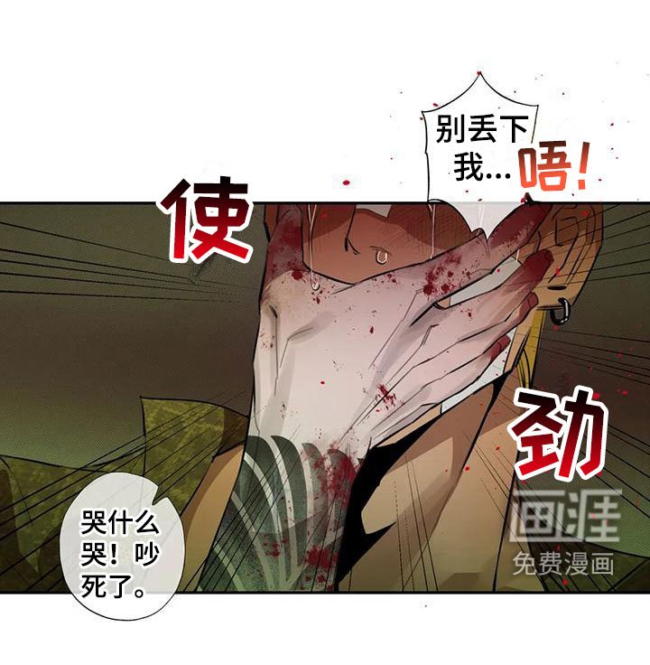 第6章：大哥的爱：原计划【完】