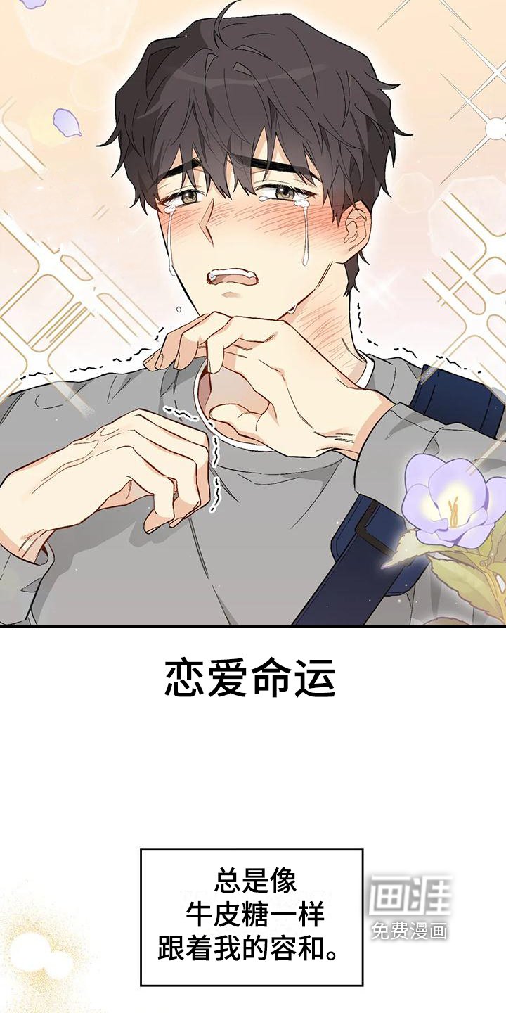 第7章：恋爱命运：理由