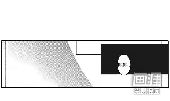 第7章：录像