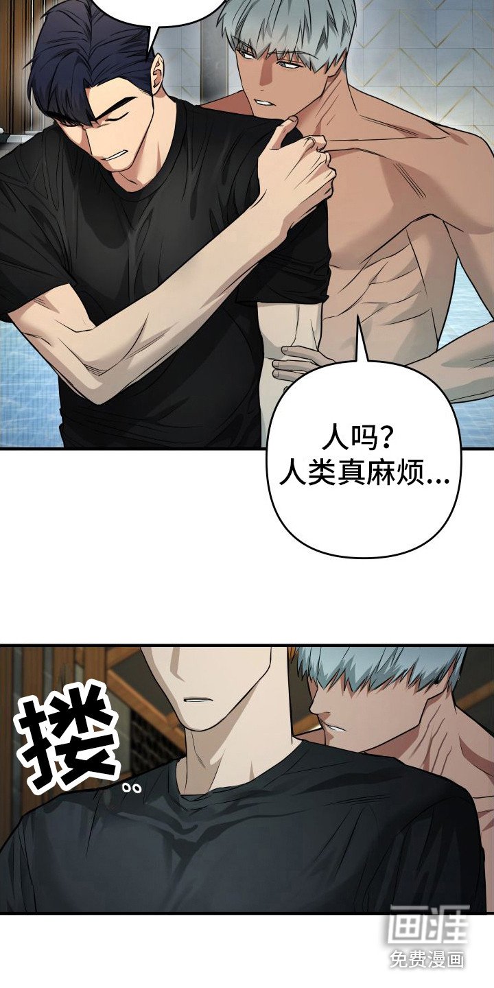 第12章：欠人情