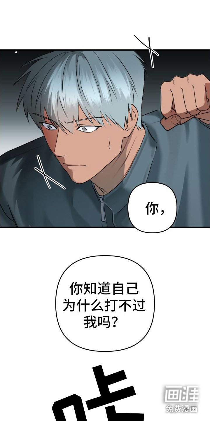 第13章：密谋