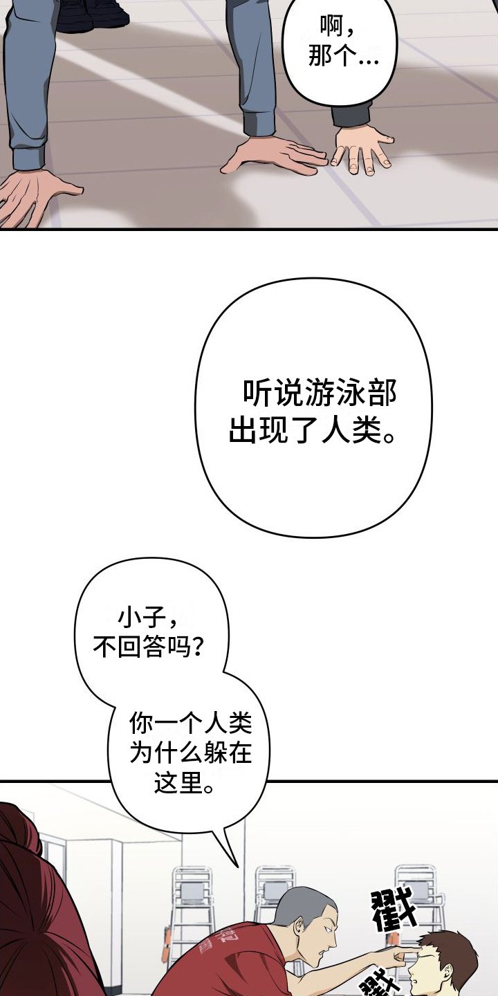 第2章：游泳部