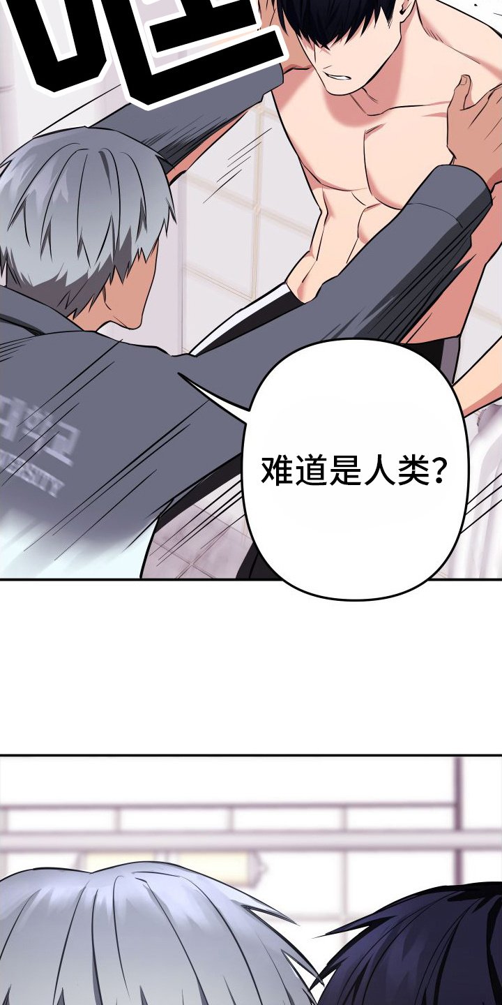 第3章：人类的味道