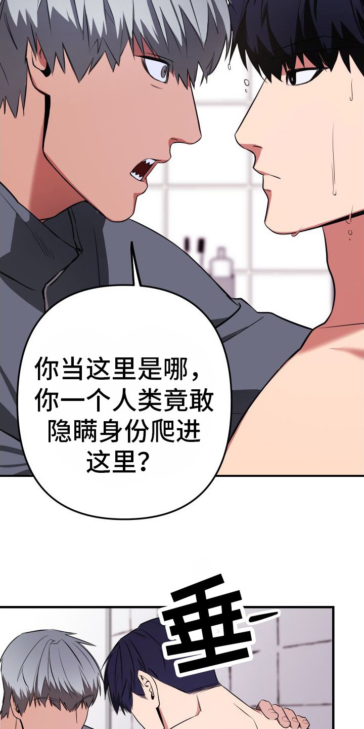 第3章：人类的味道