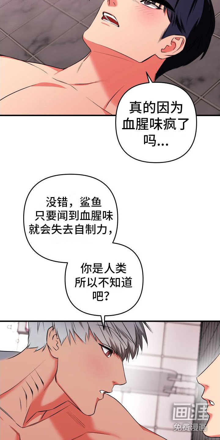 第4章：互帮互助