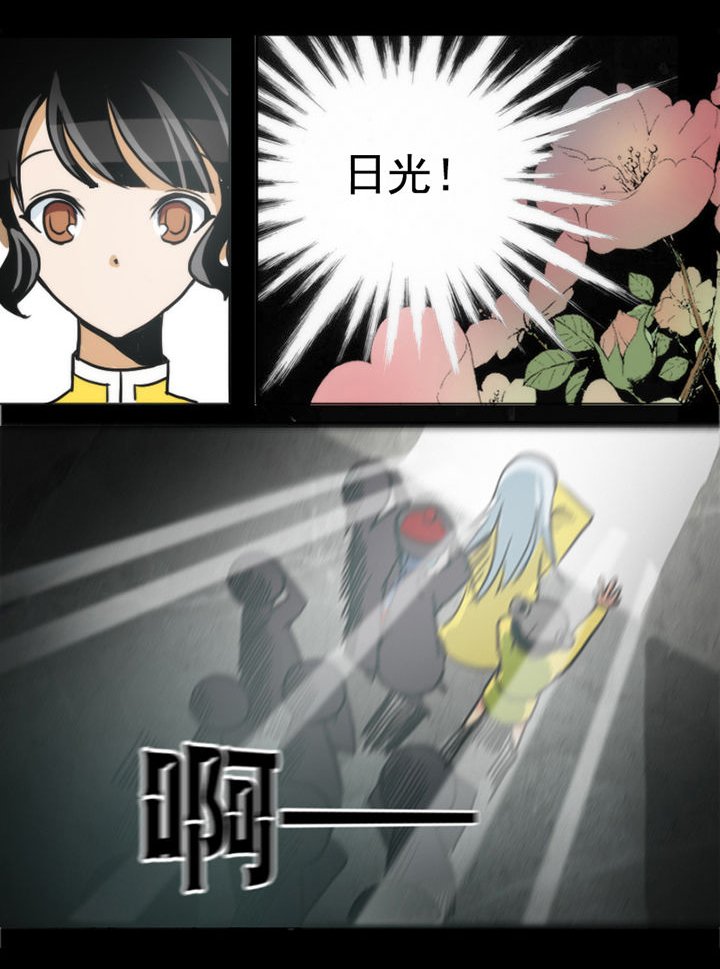 第11章：