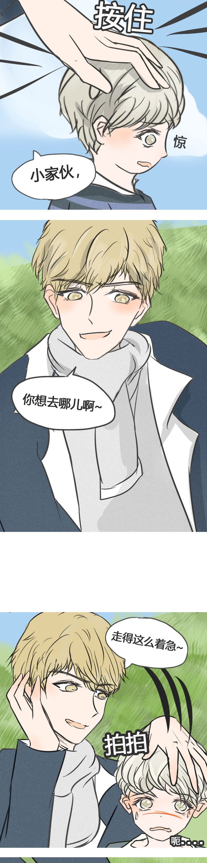 第13章：