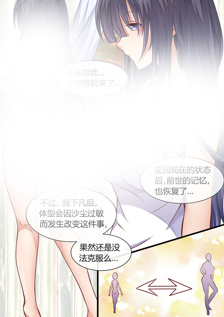 第17章：