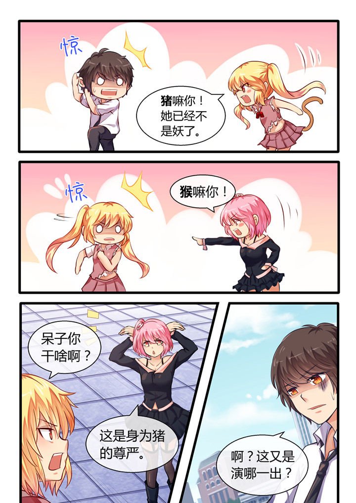 第29章：