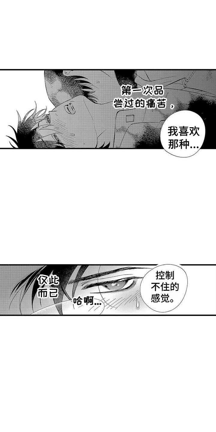 第1章：第二特征