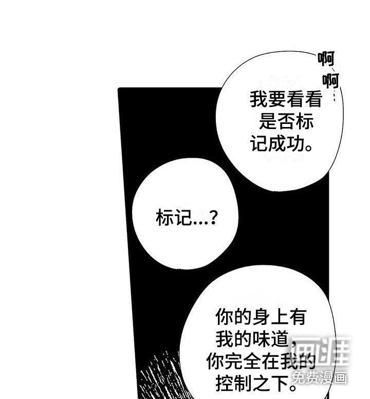 第11章：香味