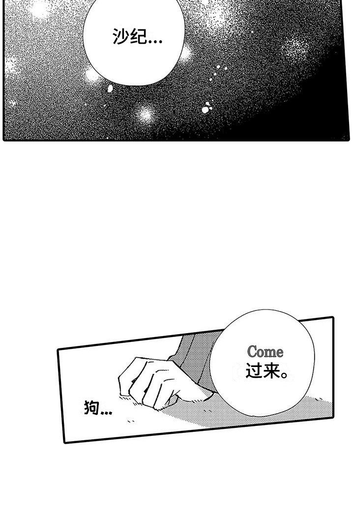 第13章：安全词