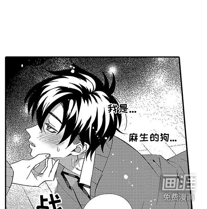 第13章：安全词