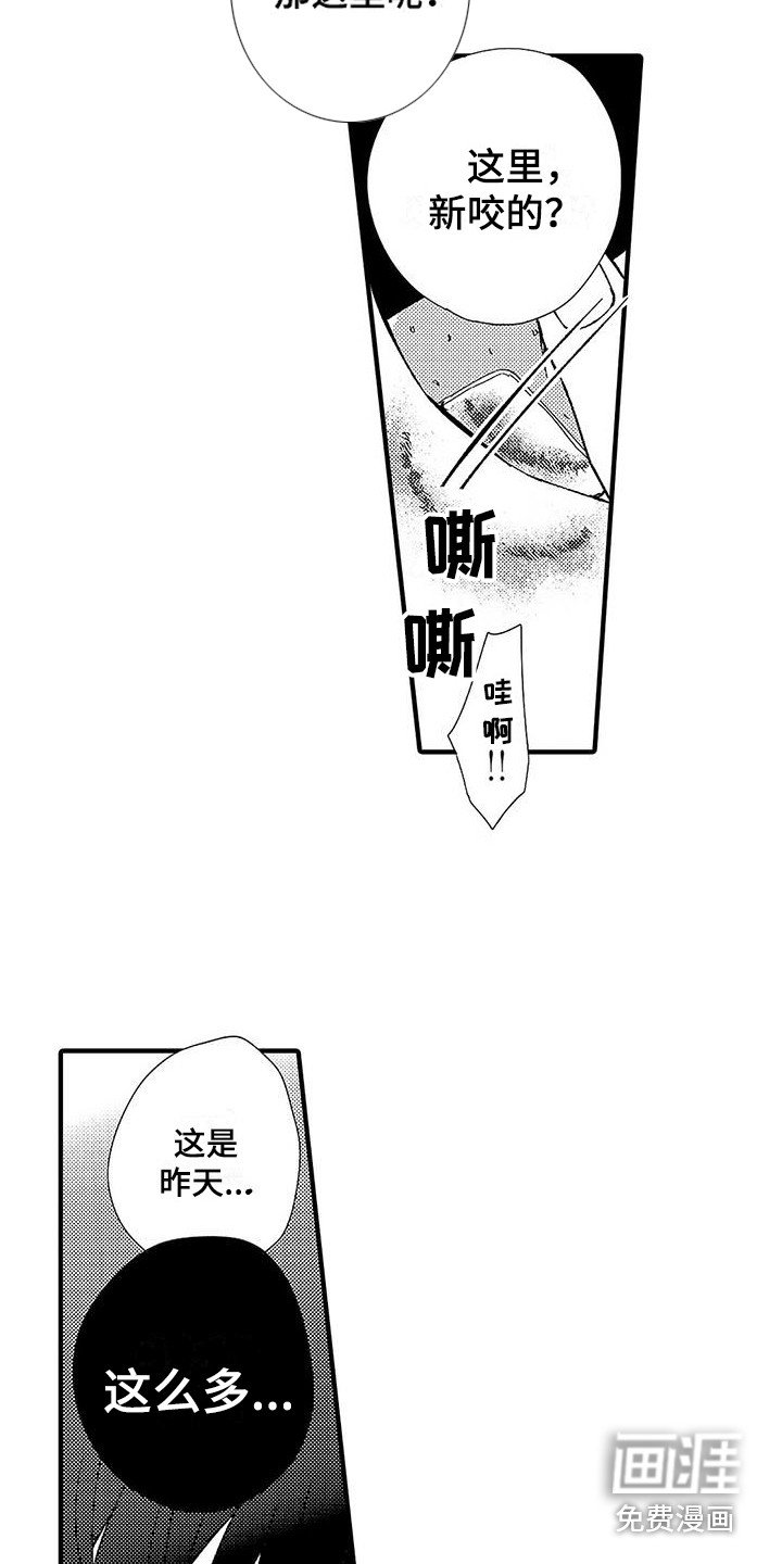 第4章：命令词