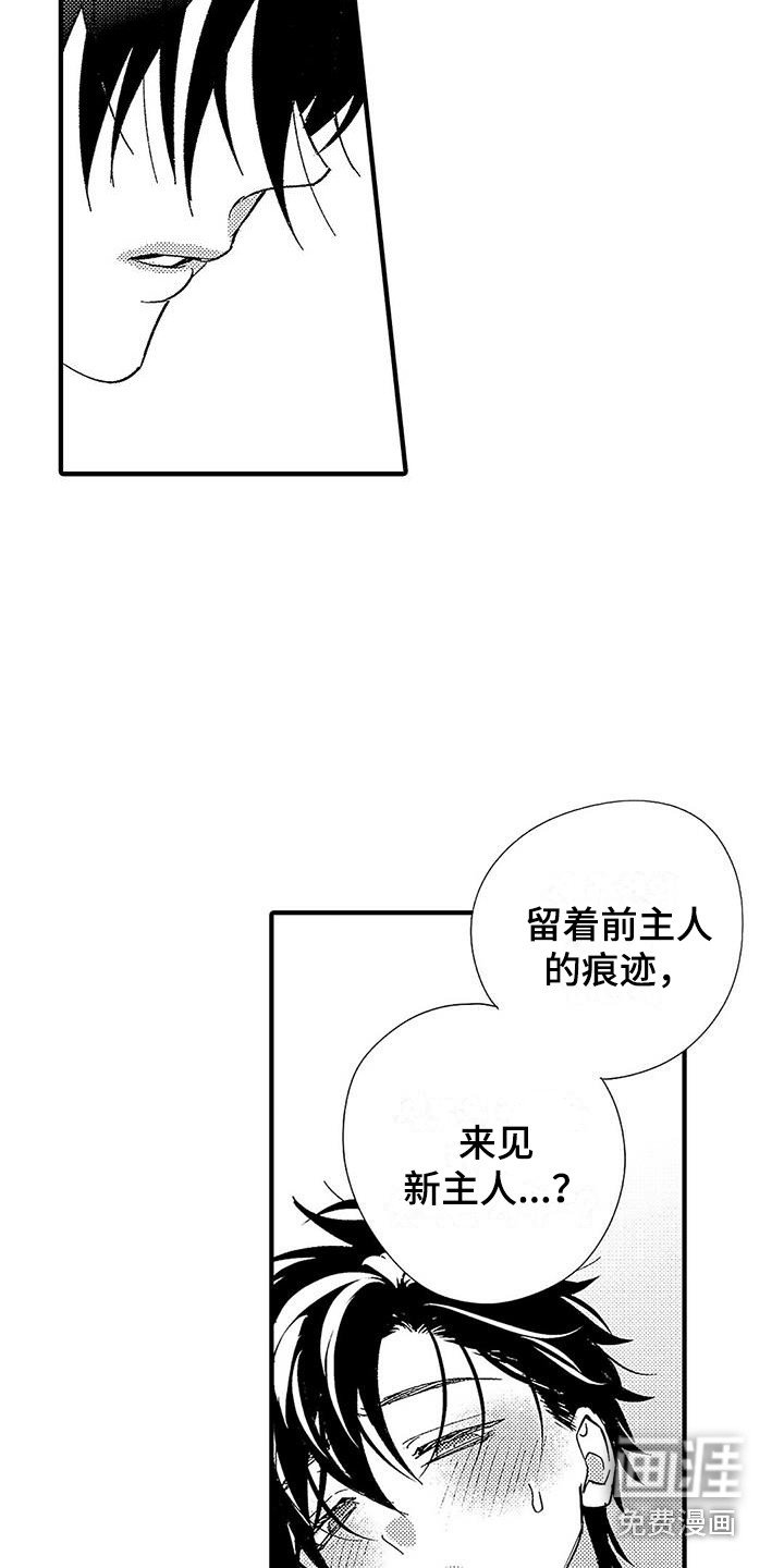 第4章：命令词