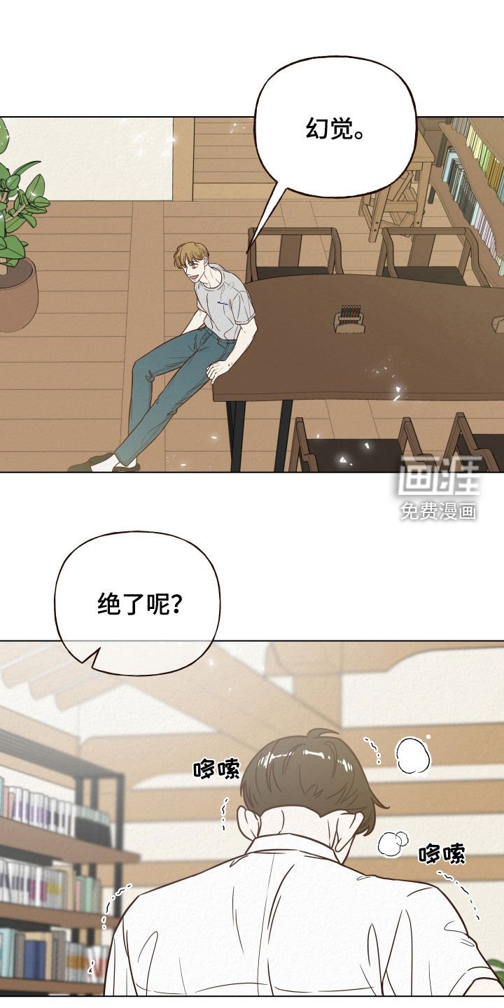 第15章：幻觉