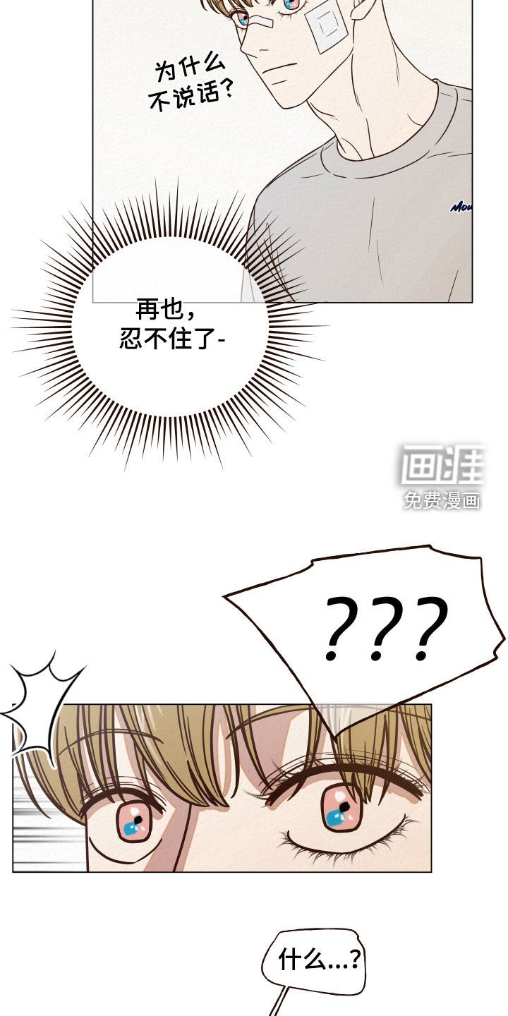 第15章：幻觉