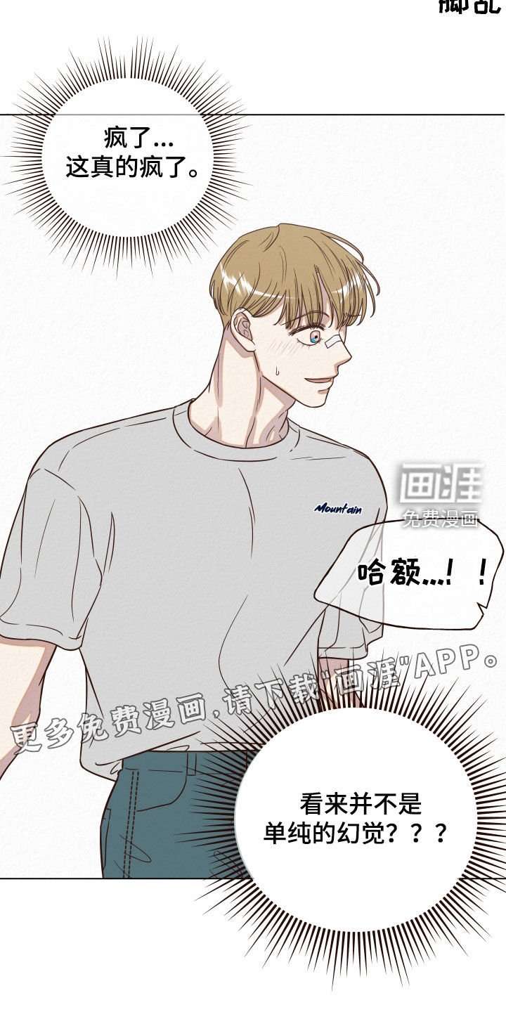 第15章：幻觉