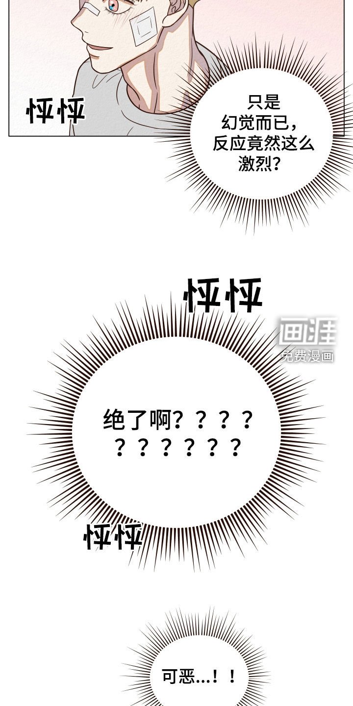 第15章：幻觉