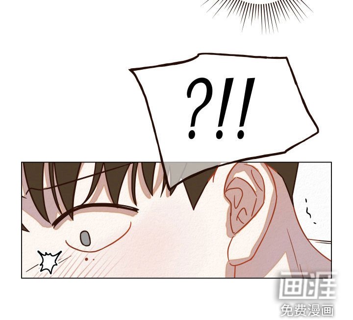 第15章：幻觉