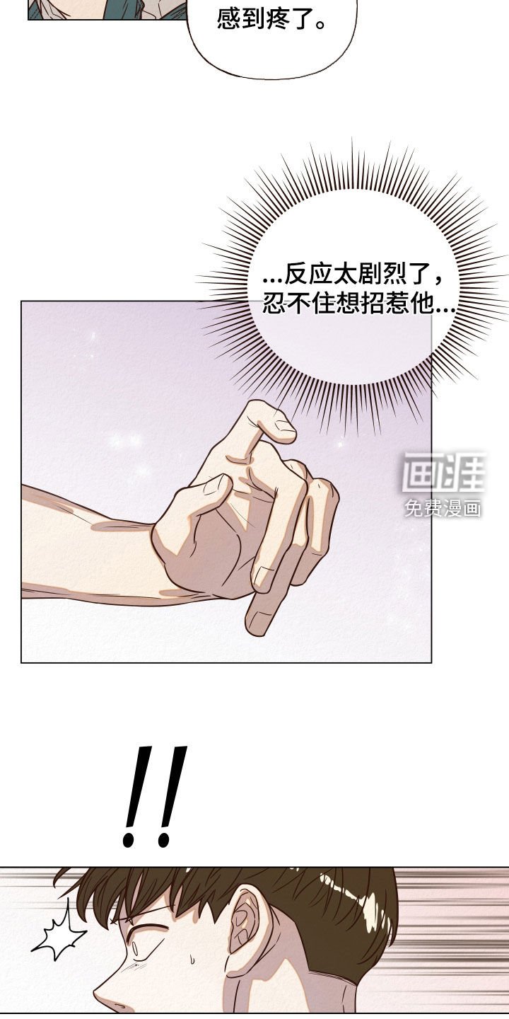 第15章：幻觉