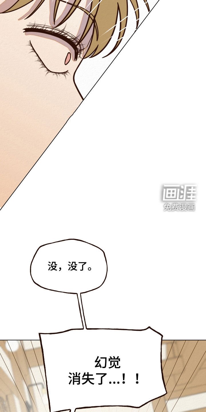 第15章：幻觉