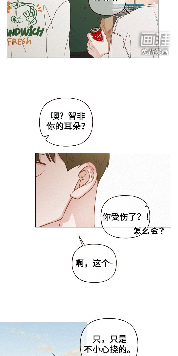 第29章：选择困难症