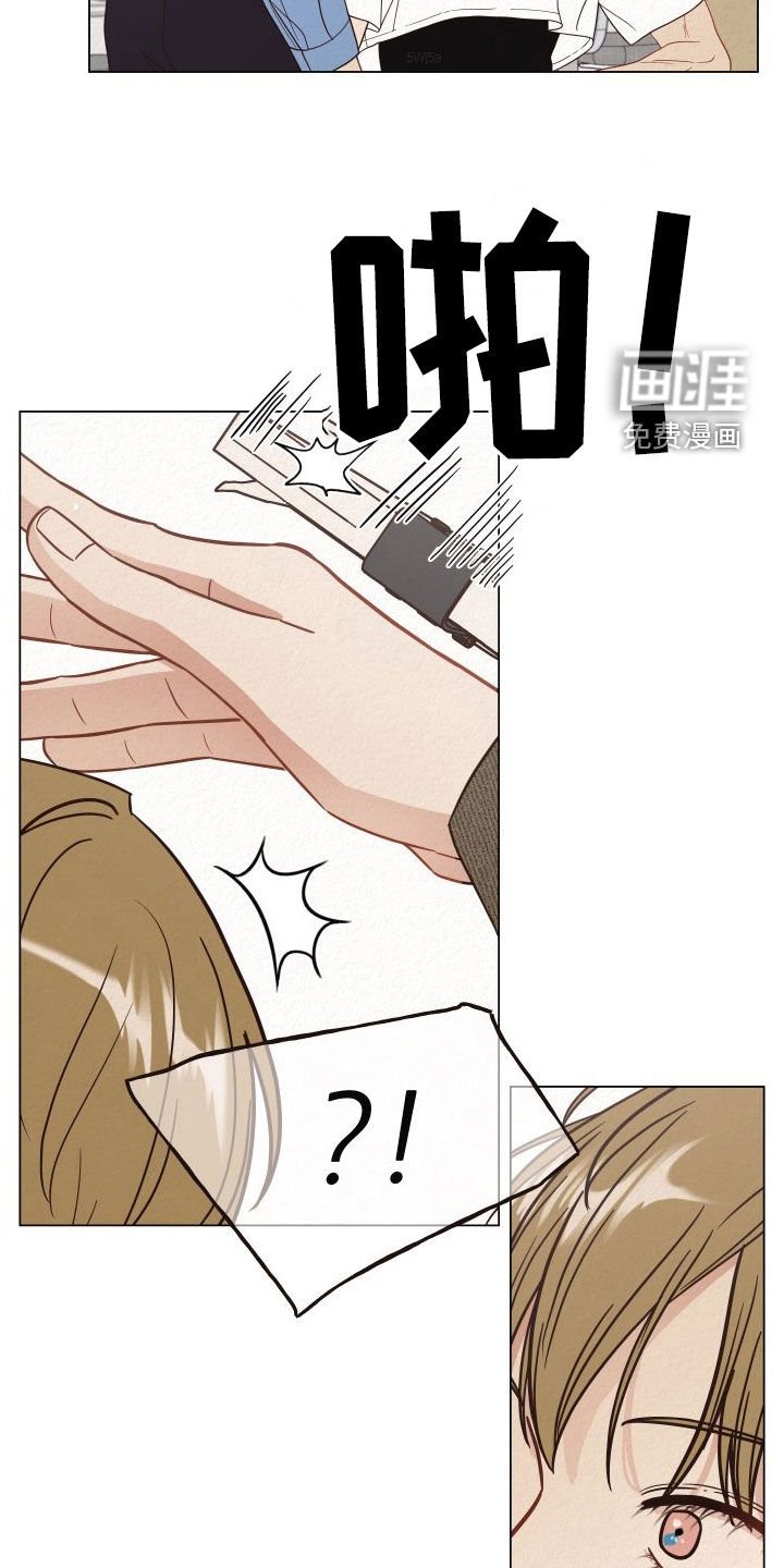 第31章：担保