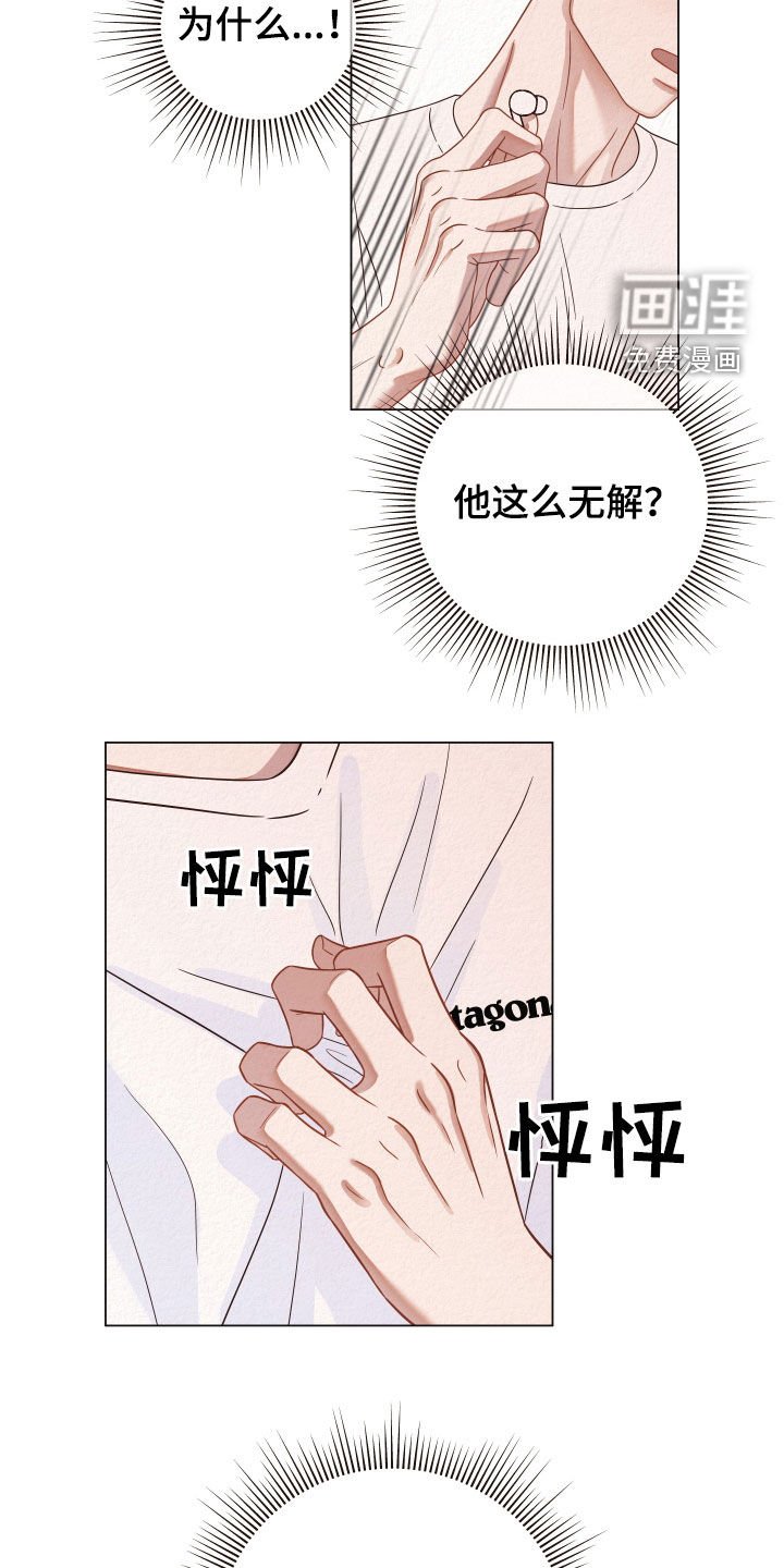 第35章：视频通话