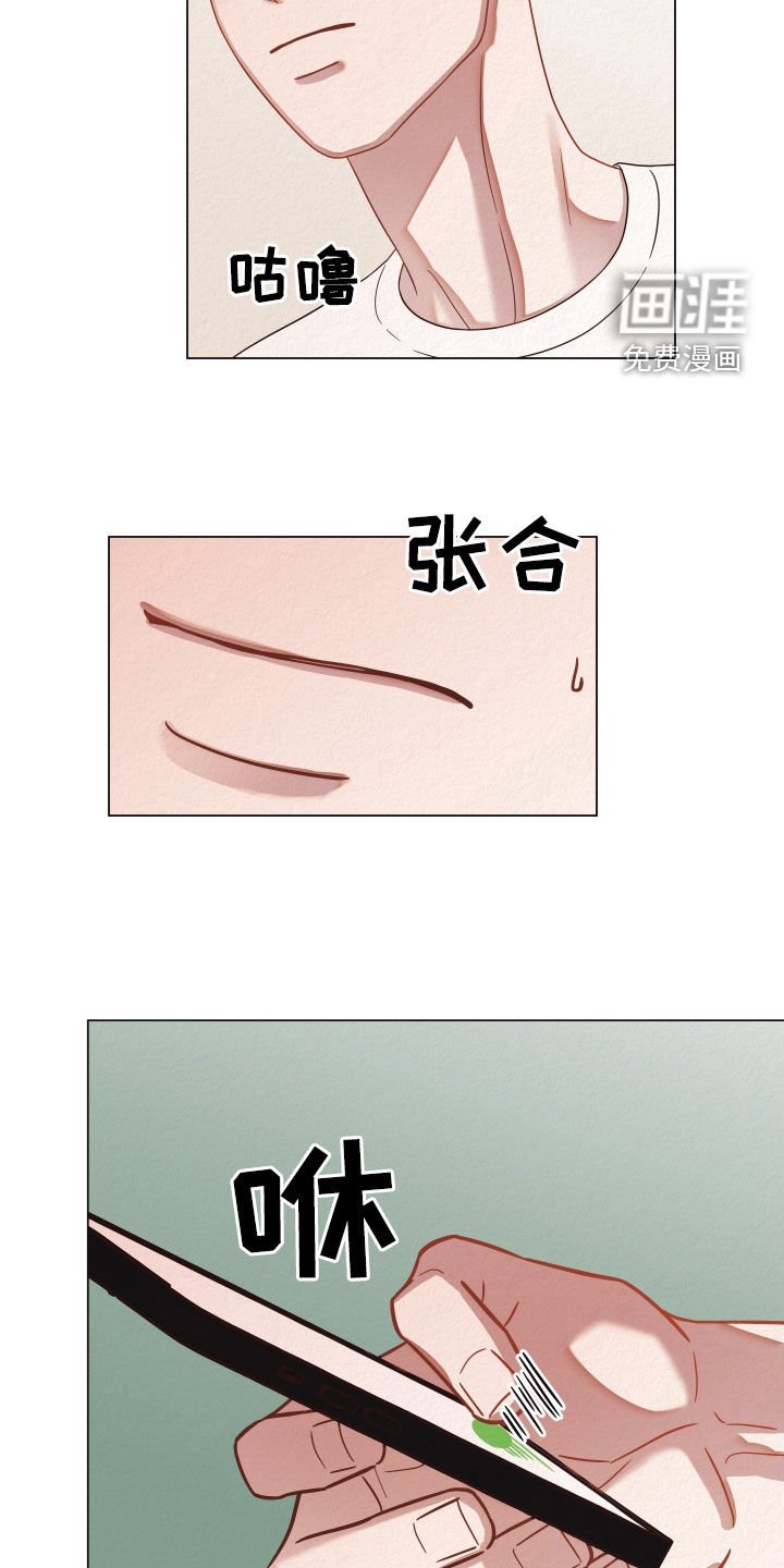 第35章：视频通话