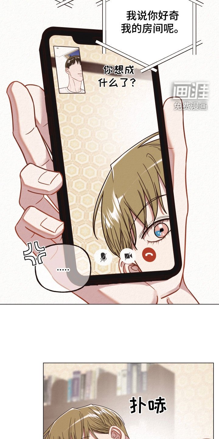 第35章：视频通话