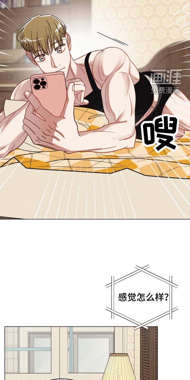 第35章：视频通话