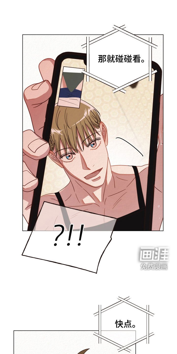 第35章：视频通话
