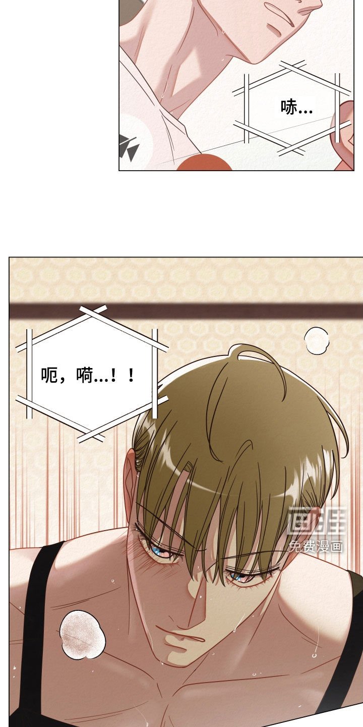 第35章：视频通话