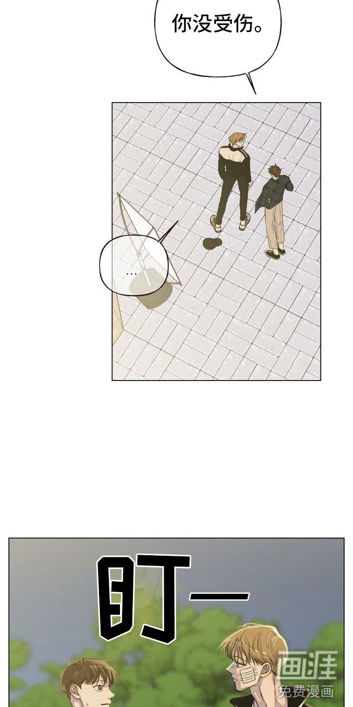 第6章：多管闲事