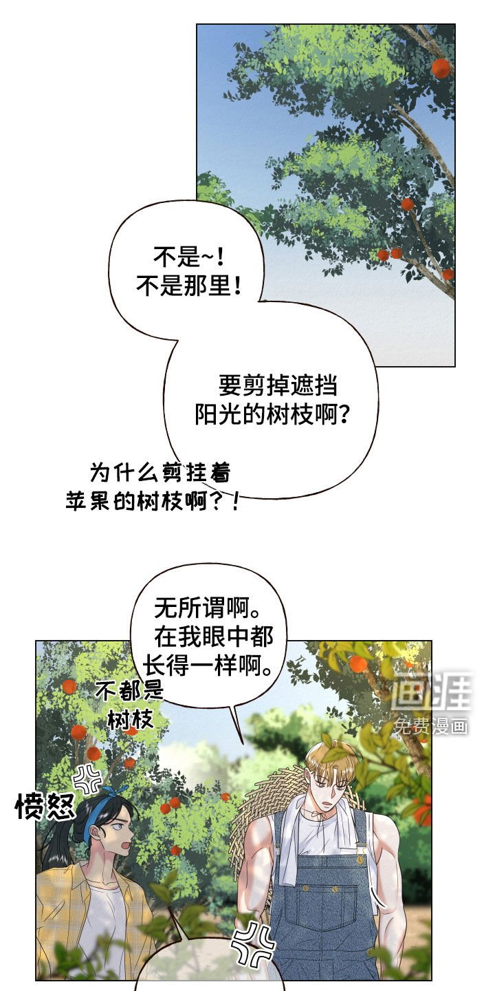 第73章：【第二季】果园