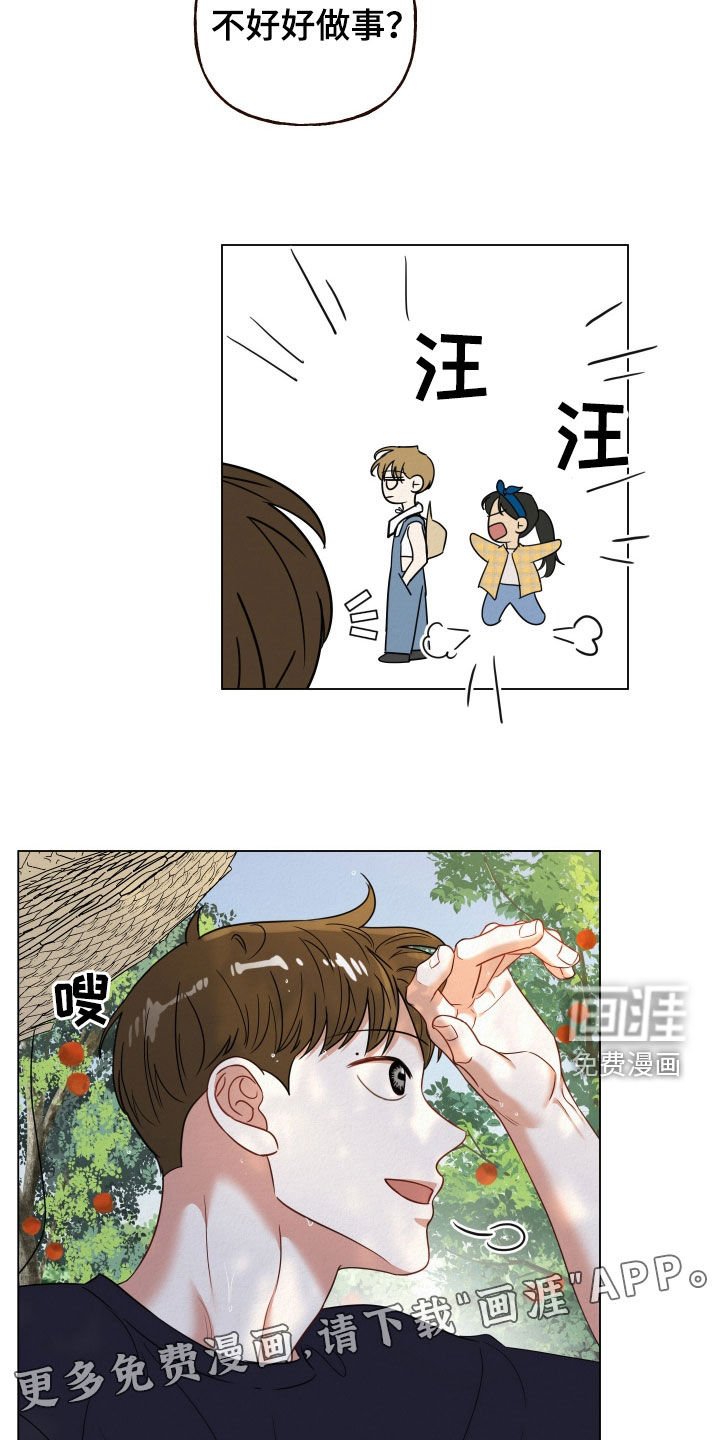 第73章：【第二季】果园