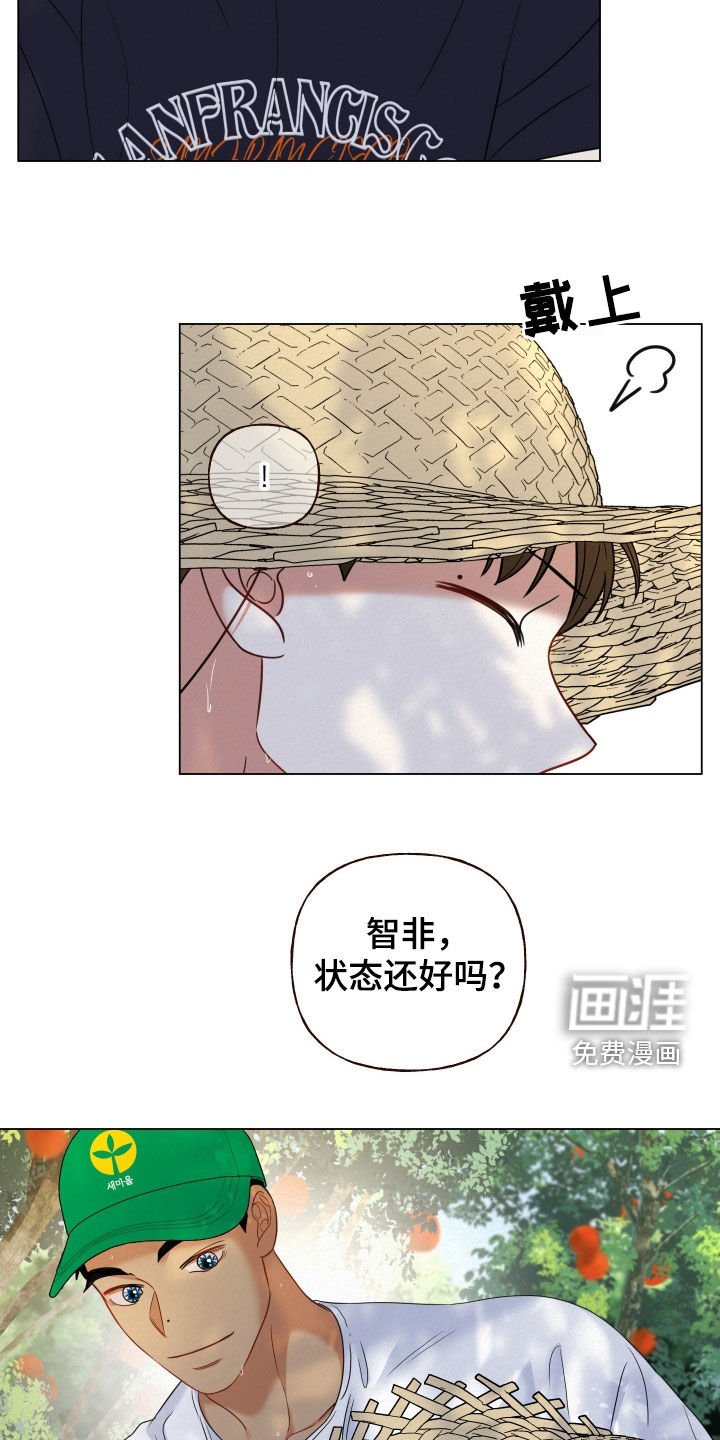 第73章：【第二季】果园