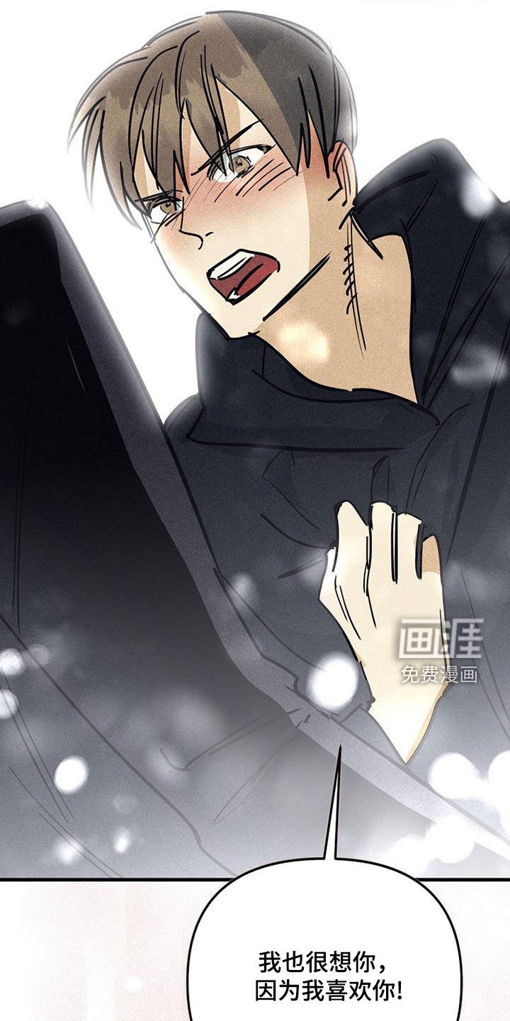 第111章：【第二季完结】足够幸福