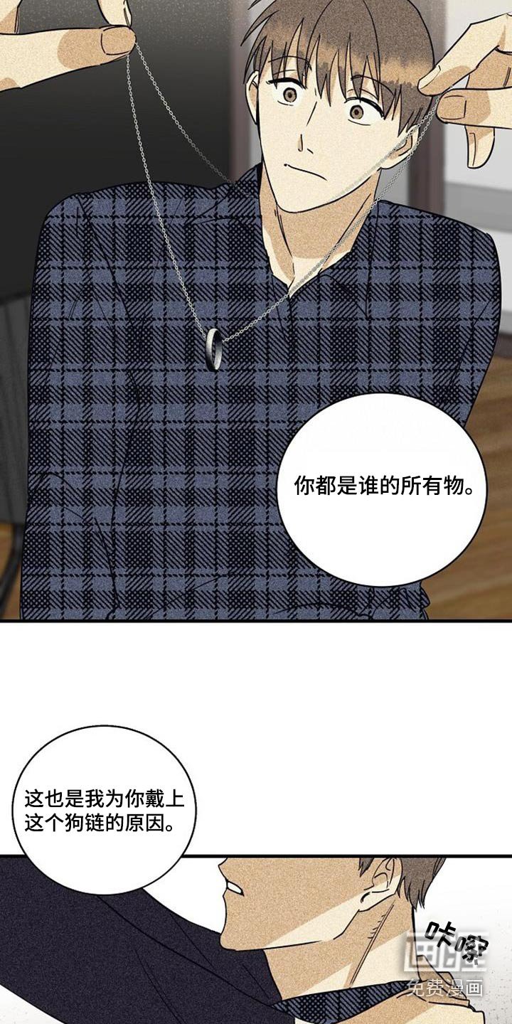 第53章：项链