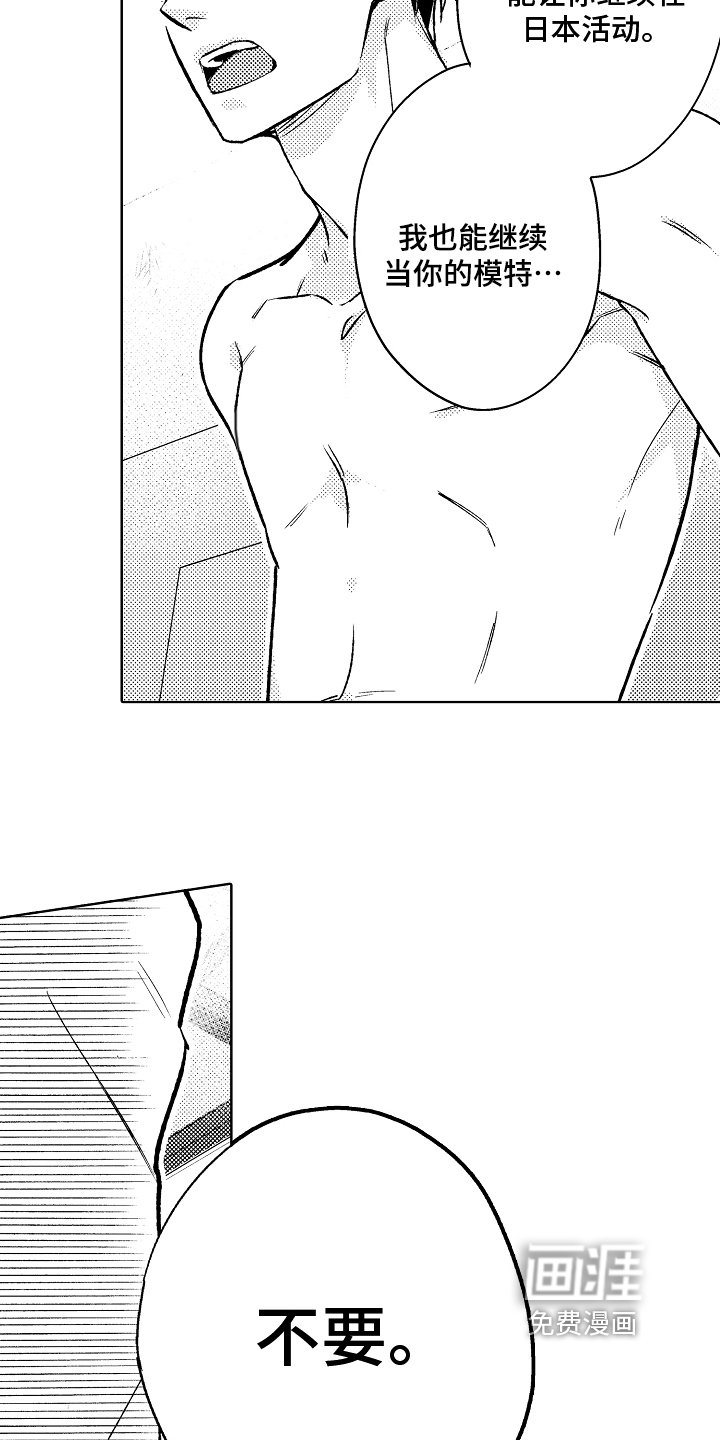 第15章：不画了