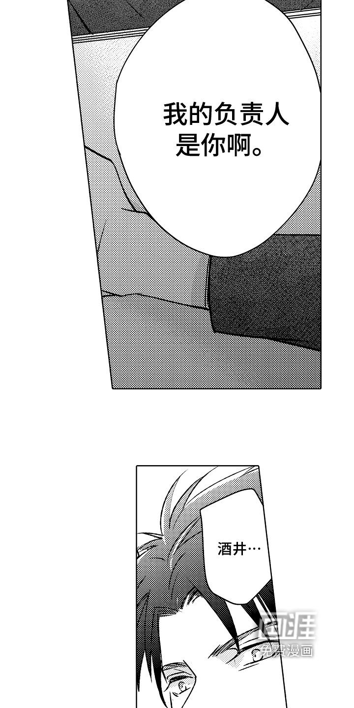 第15章：不画了