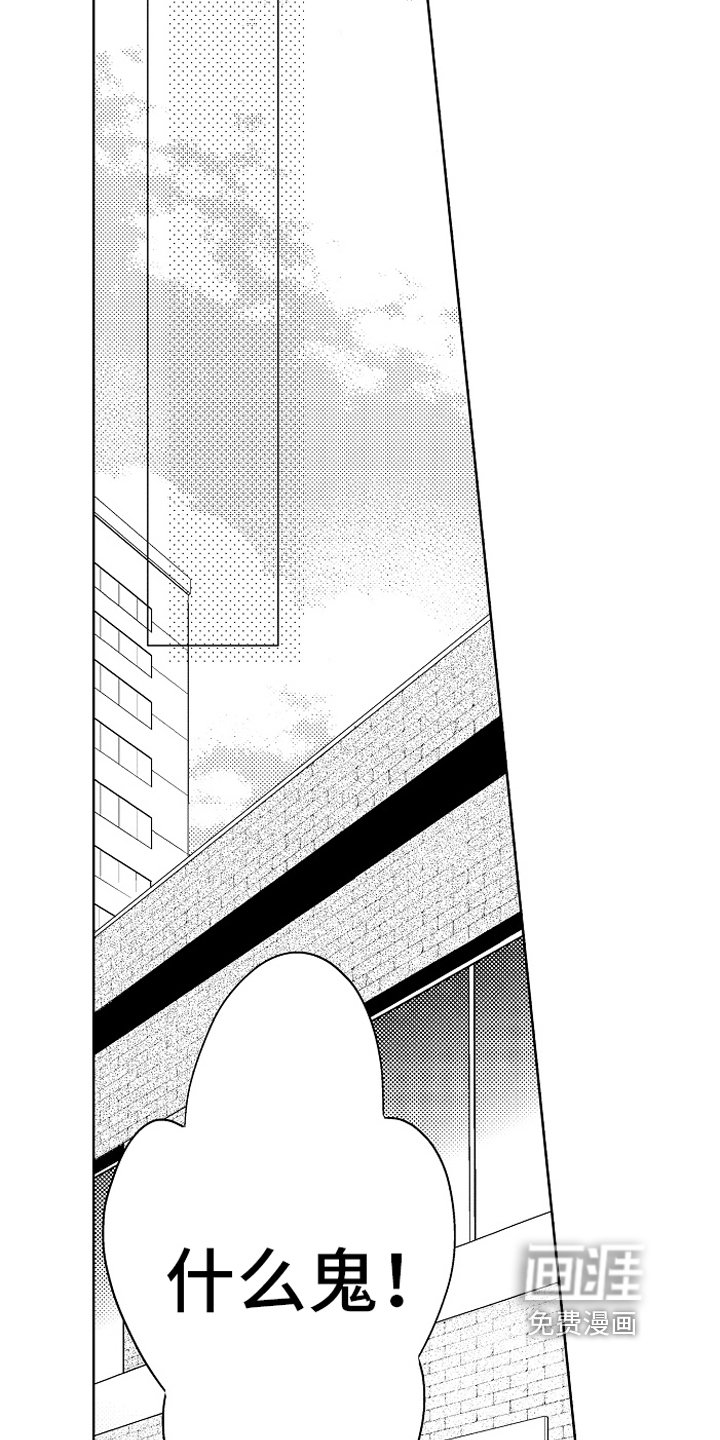 第16章：决定